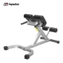 Гиперэкстензия под углом 45 градусов AeroFit Impulse IF45 AeroFit