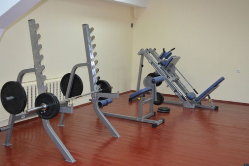 Стойка для жимов и приседаний AeroFit IF IFSS