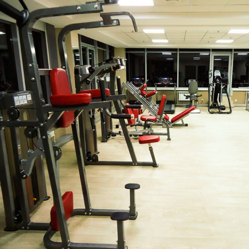 Подтягивание / отжимание с помощью (гравитрон) AeroFIT IF8120 / IF9320