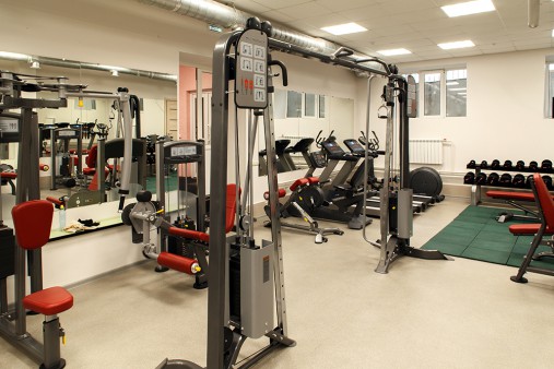 Кроссовер AeroFIT IT9313