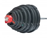 Набор олимпийских дисков 51 мм OFT 1,25-20 кг (107,5 кг) с двойными хватами