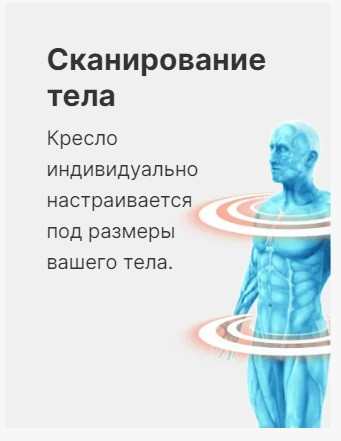 Массажное кресло Méridien California (color: Black + Brown)